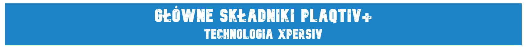 skladniki xpersiv